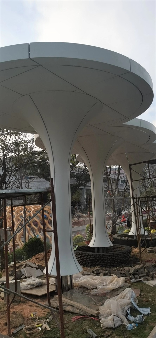 案例展示 